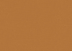 ELK 65